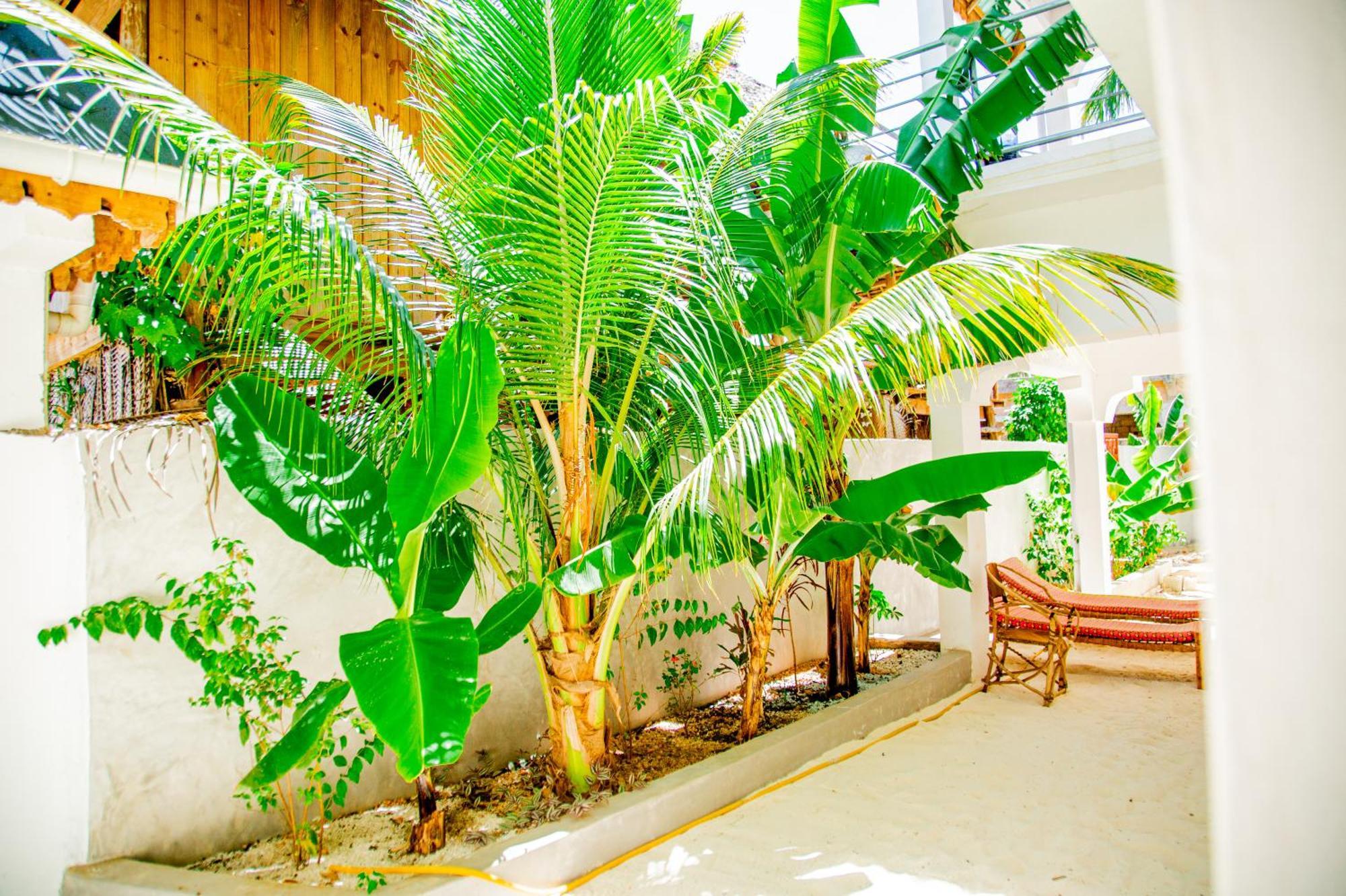 Pamoja Beach Stays Hotel In Jambiani Jambiani (Zanzibar) Exterior foto